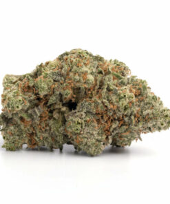 Super Pink Weed Strain - Premium cannabis from British Columbia