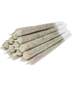 Super Silver Haze (AAAA+) - 5 Pre Rolled Joints Sativa