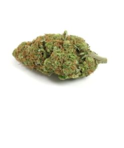 Super Silver Haze Marijuana Strain Ballarat