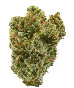 Super Silver Haze Weed Strain by Green House Seeds