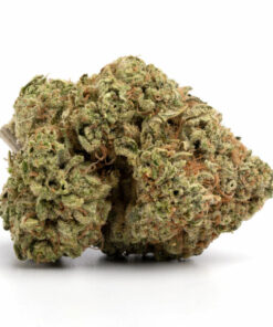 Tang Breath Marijuana Strain Canberra