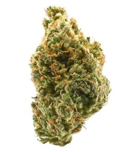 Tangie Marijuana Strain with vibrant orange hairs and frosty trichomes