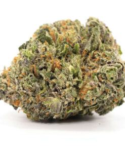 THC Bomb Weed Strain - hybrid cannabis with dense buds