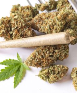 Tom Ford Marijuana Pre-rolled Joint