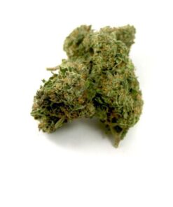 Trainwreck Marijuana Strain Sunshine Coast