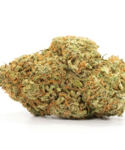 Treasure Island Marijuana Strain Canberra