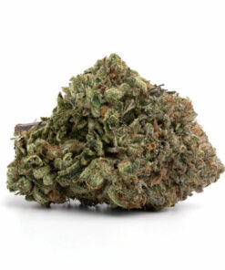Tuna Rockstar Marijuana Strain Canberra