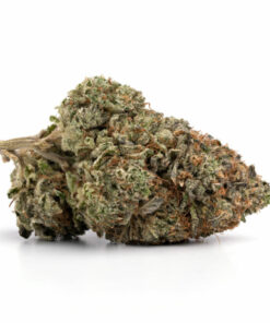 Venom OG Marijuana Strain