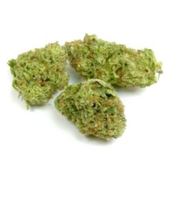 Violator Kush Cannabis Strain Armidale