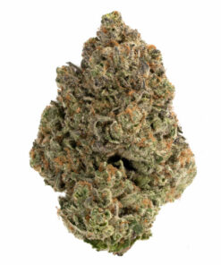 White Death Marijuana Strain Geelong