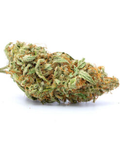 White Lavender Marijuana Strain Hobart
