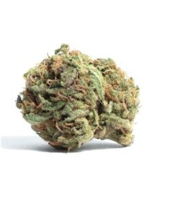 White Rhino Marijuana Flower Vic - Premium Indica Strain