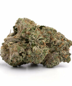 White Rhino Weed Strain