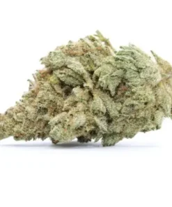White Widow Hybrid Marijuana VIC strain with frosty buds and earthy aroma