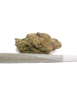 Zack Cake Weed Pre-Rolled Joint – Hybrid 1.4g